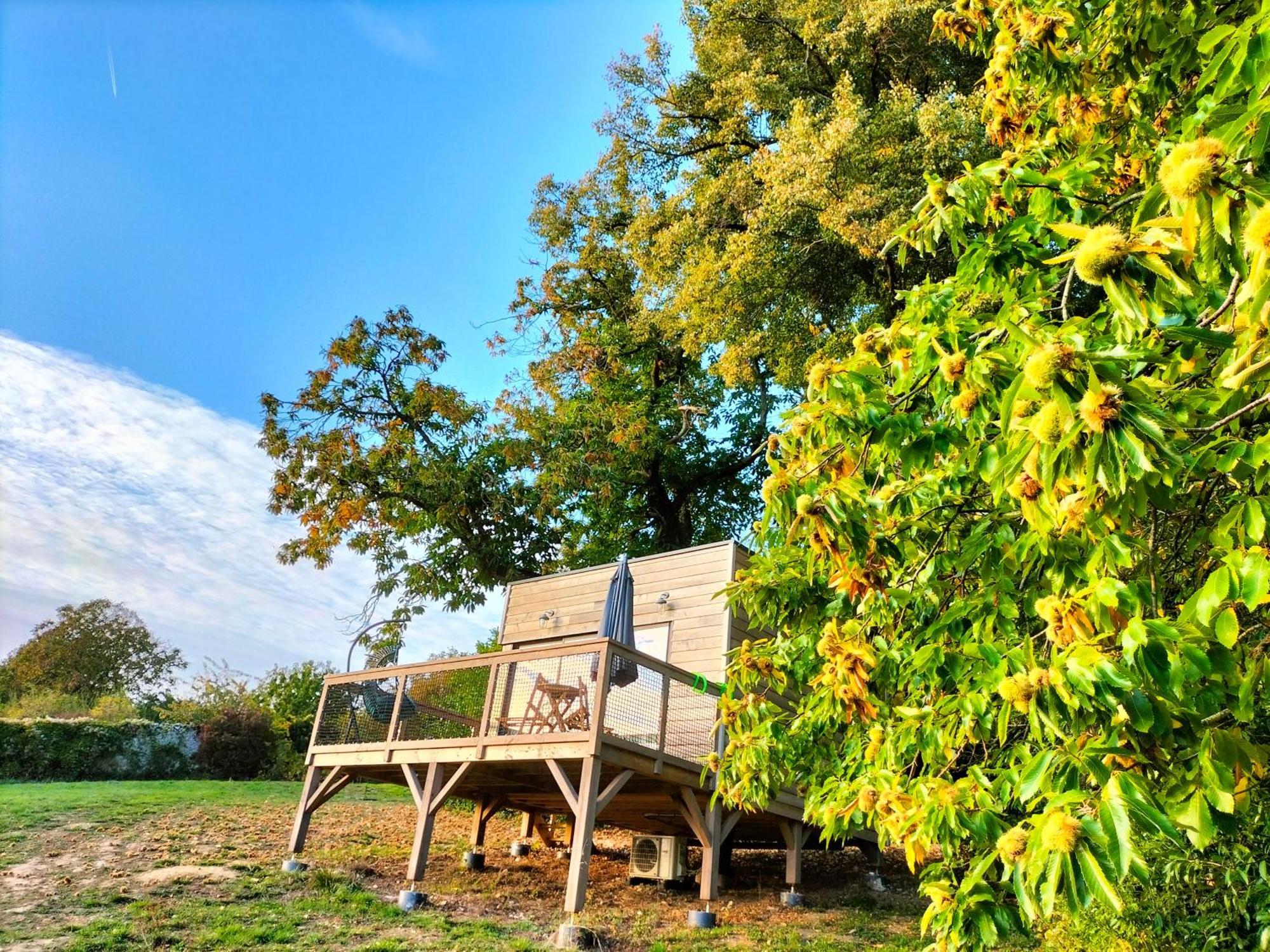 Bed and Breakfast Demeure De La Garenne Montmirail  Екстер'єр фото