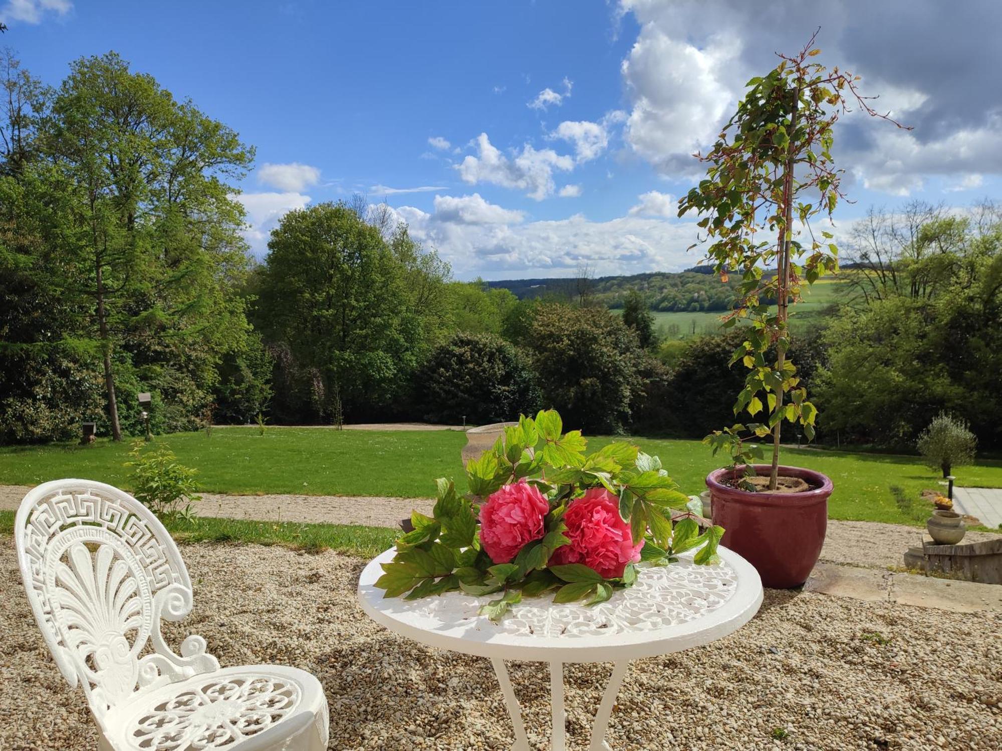 Bed and Breakfast Demeure De La Garenne Montmirail  Екстер'єр фото