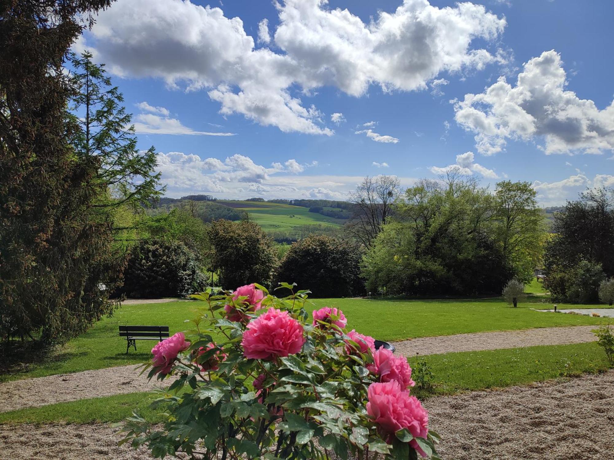 Bed and Breakfast Demeure De La Garenne Montmirail  Екстер'єр фото